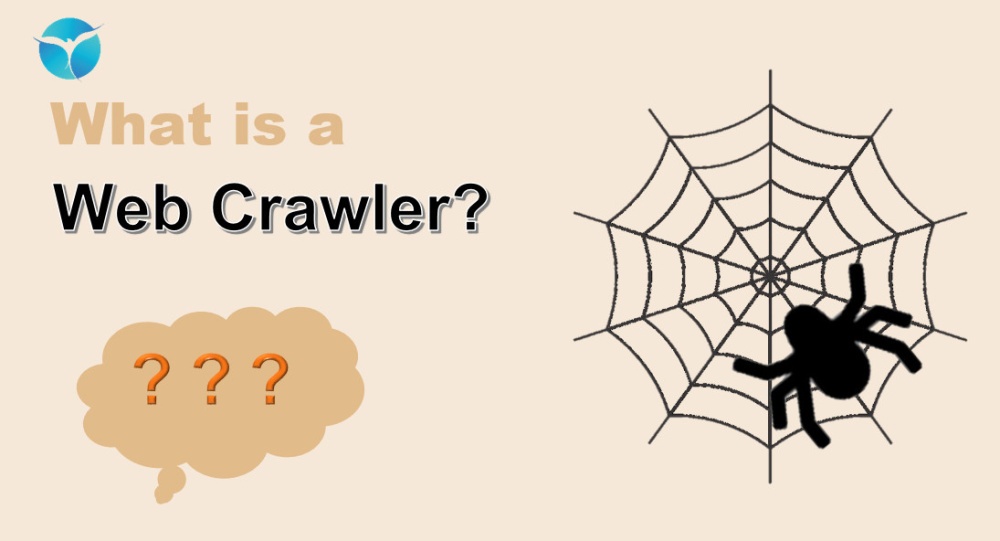 Web Crawler la gi?
