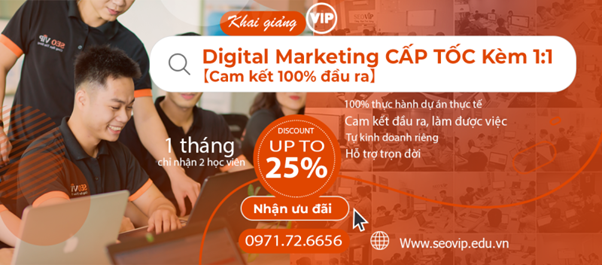 Đào tạo vip 1:1 - học SEO và marketing online