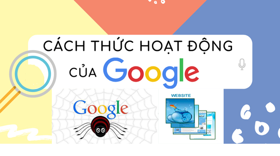 hoc seo bat dau tu dau