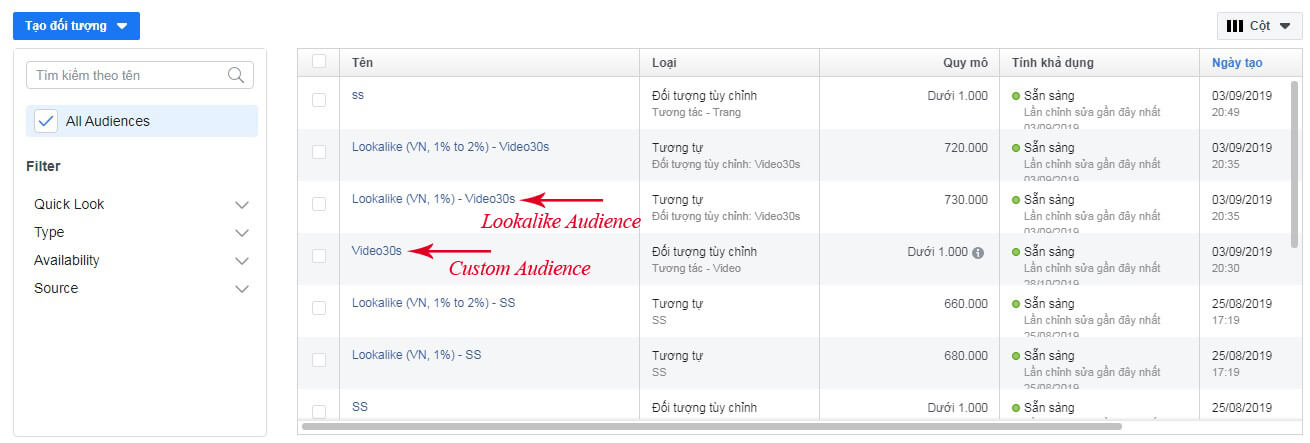 facebook audience