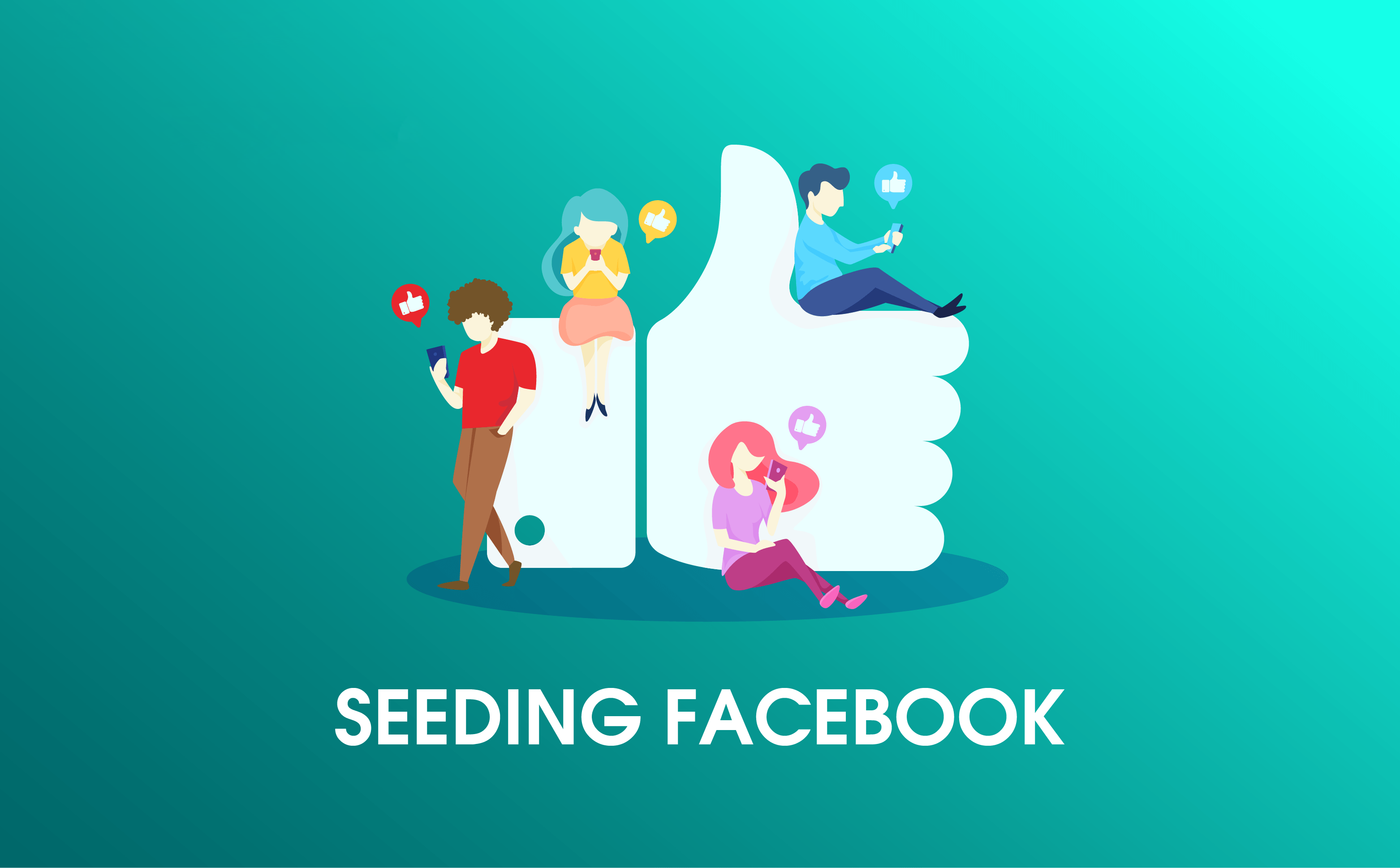 Bỏ túi cẩm nang Seeding Facebook chi tiết từ A-Z cho người mới bắt đầu -  South Edge Education